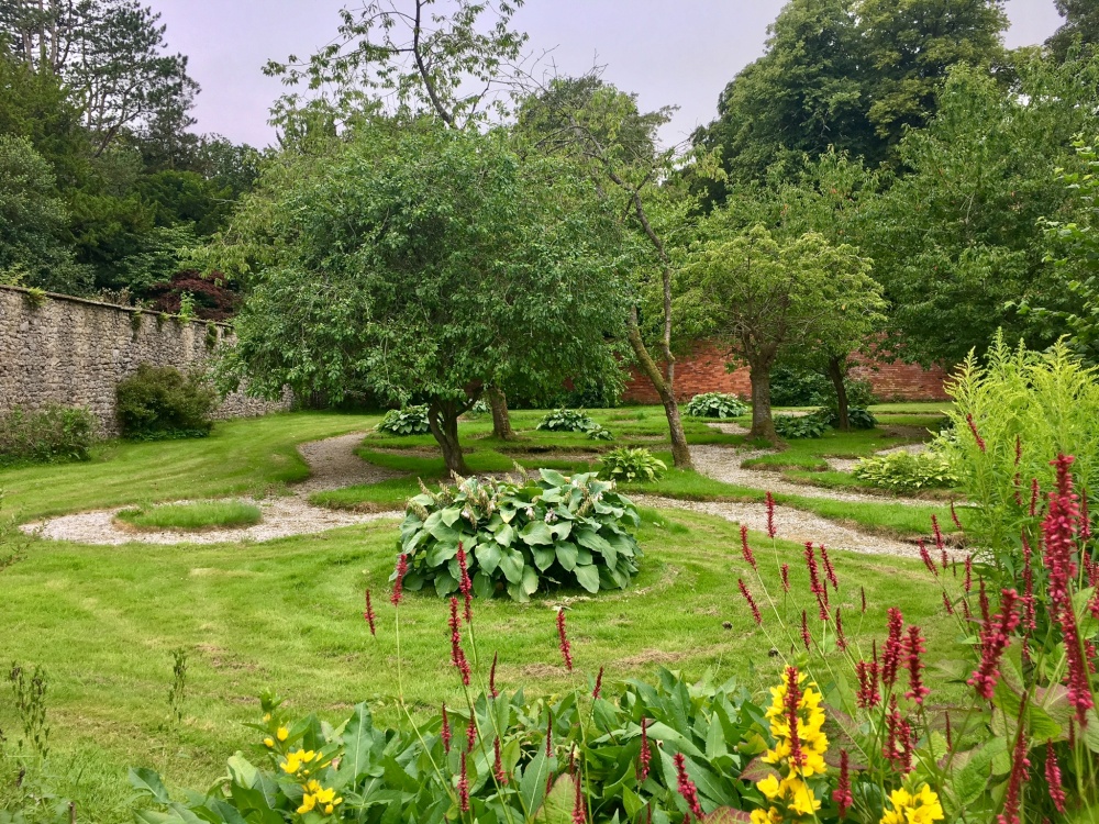 Hostas and Maze photo by Carol Bradley