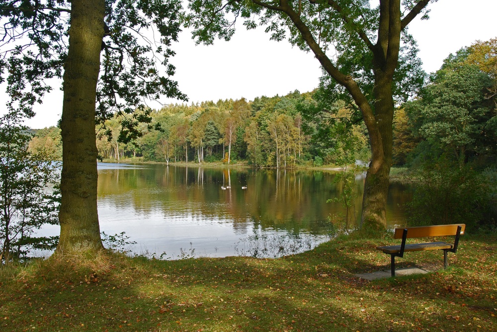 A Seat with a view' Swinsty Reservoir Harrogate