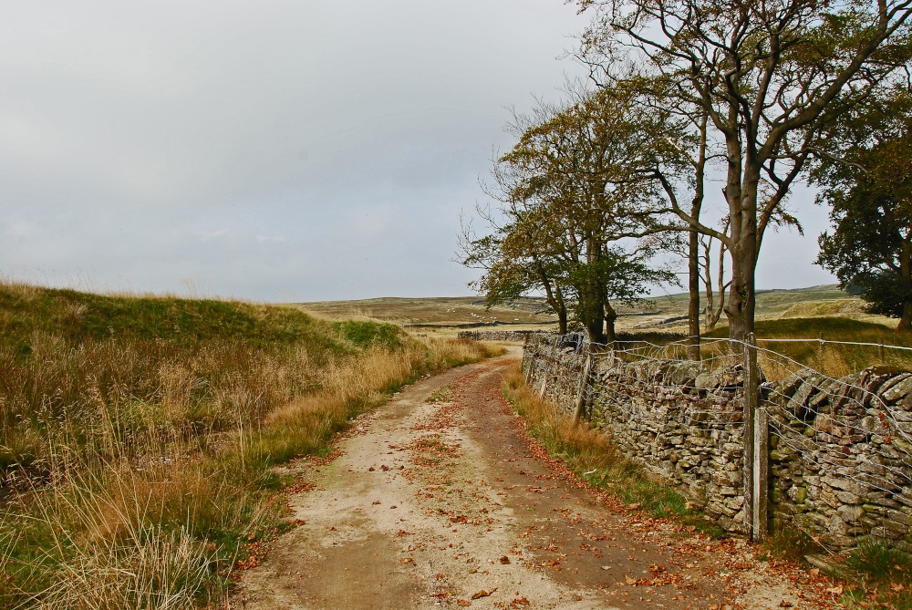 'On the Turn' Moor Lane Grassington