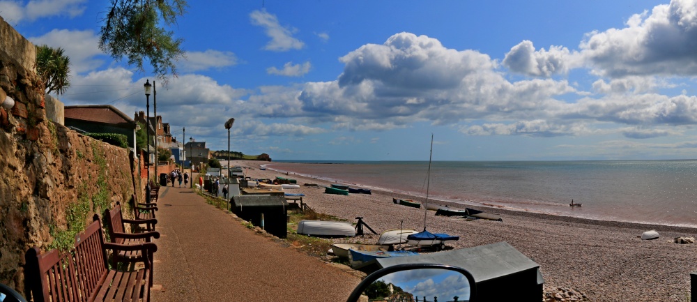 Budleigh in the sun