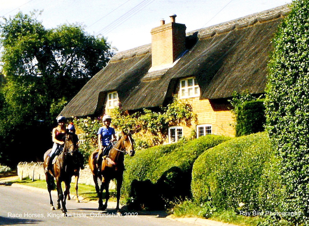 Racehorses, Kingston Lisle, Oxfordshire 2002