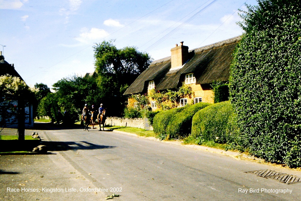 Race Horses, Kingston Lisle, Oxfordshire 2002