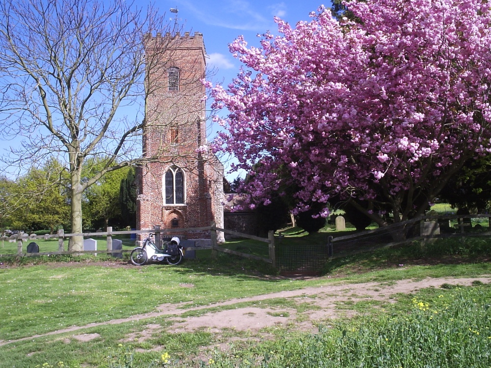 Cherry Blossom Time. Carlton