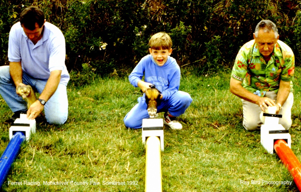 Ferret Racing, Monksilver Country Fair, Somerset 1992