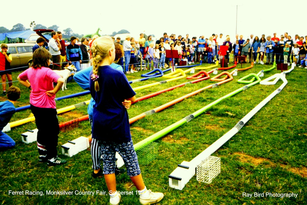 Ferret Racing, Monksilver Country Fair, Somerset 1992