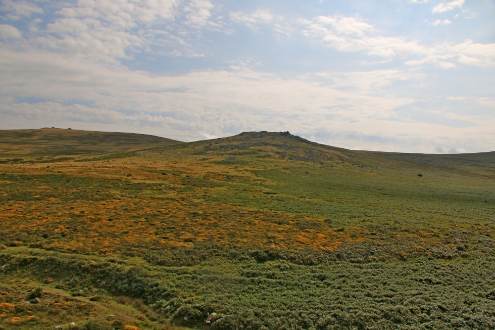 Dartmoor - Great Links Torr