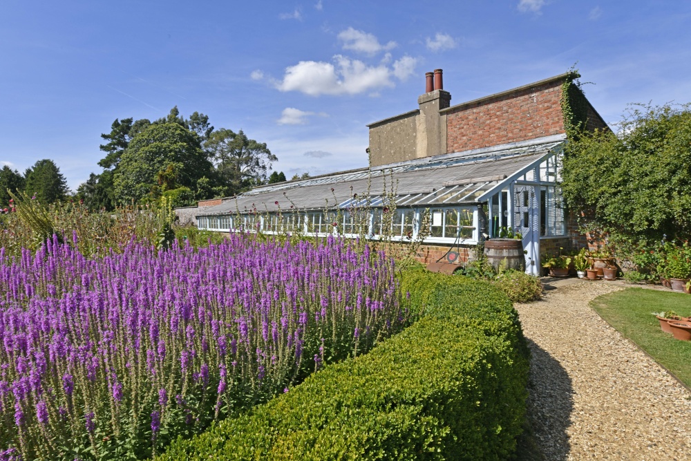 Down House Garden