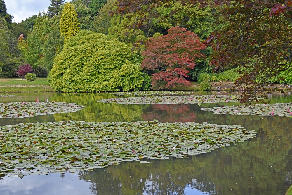 Sheffield Park Garden