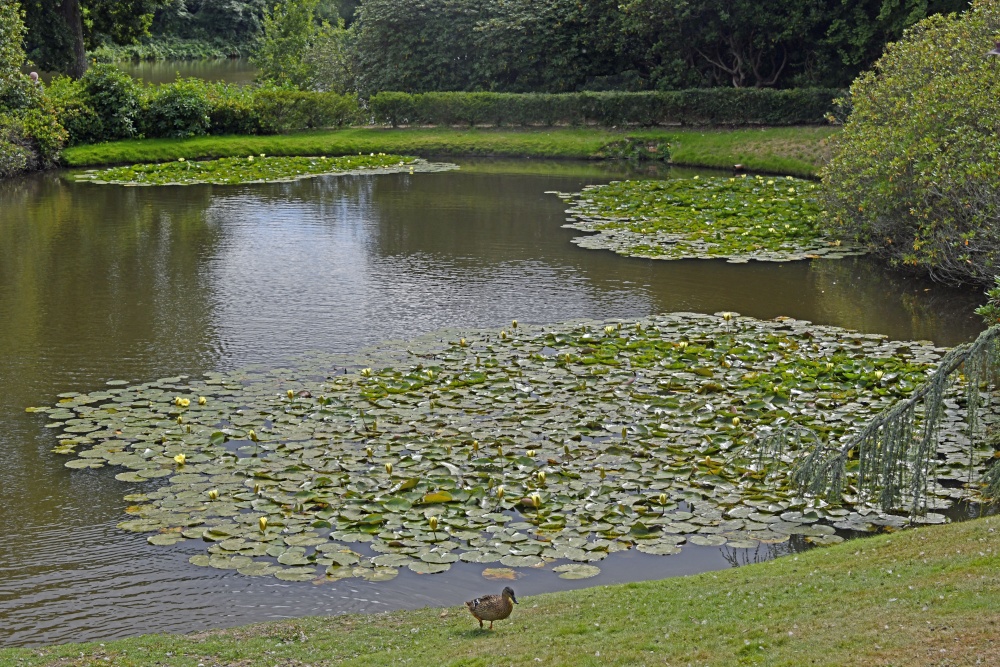 Sheffield Park Garden