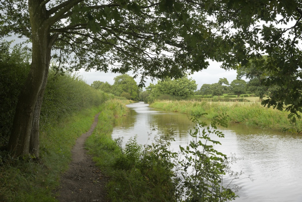 The Macclesfield Canal between Kidsgrove and Congleton, Cheshire photo by AJTooth