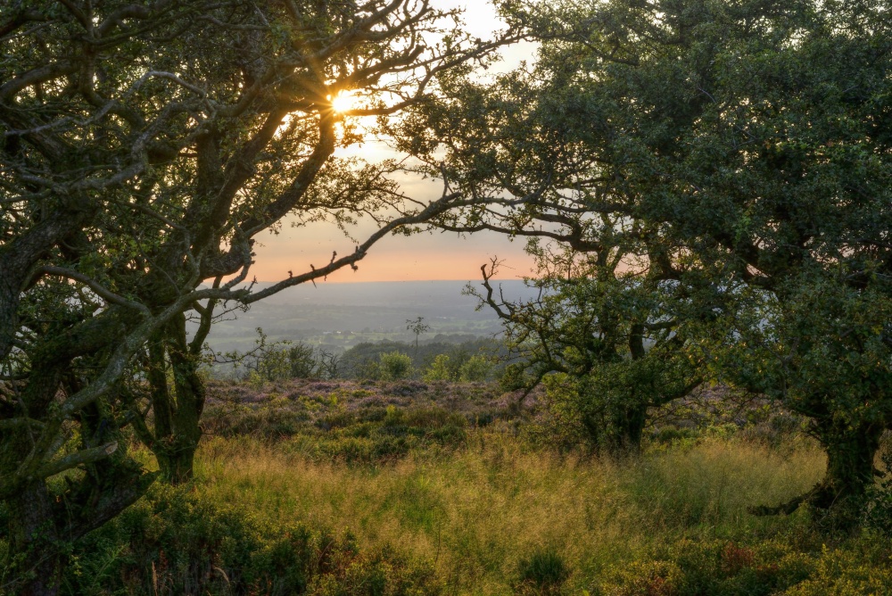 Photograph of Evening on Gun Hill above Meerbrook, Staffordshire Moorlands