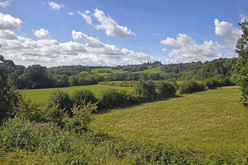 Bluebell Railway - Sussex countryside