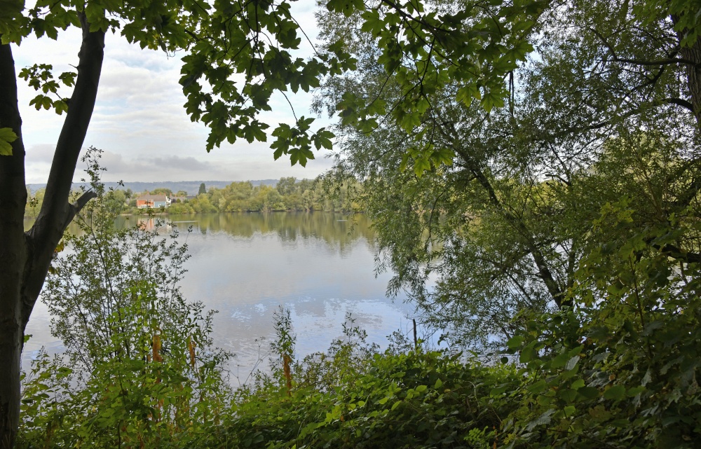 Leybourne Lakes Country Park photo by Paul V. A. Johnson