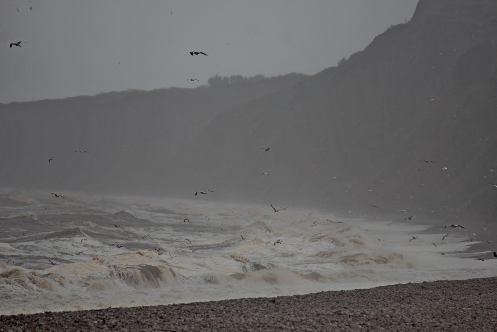 Strong wind at Budleigh Salterton