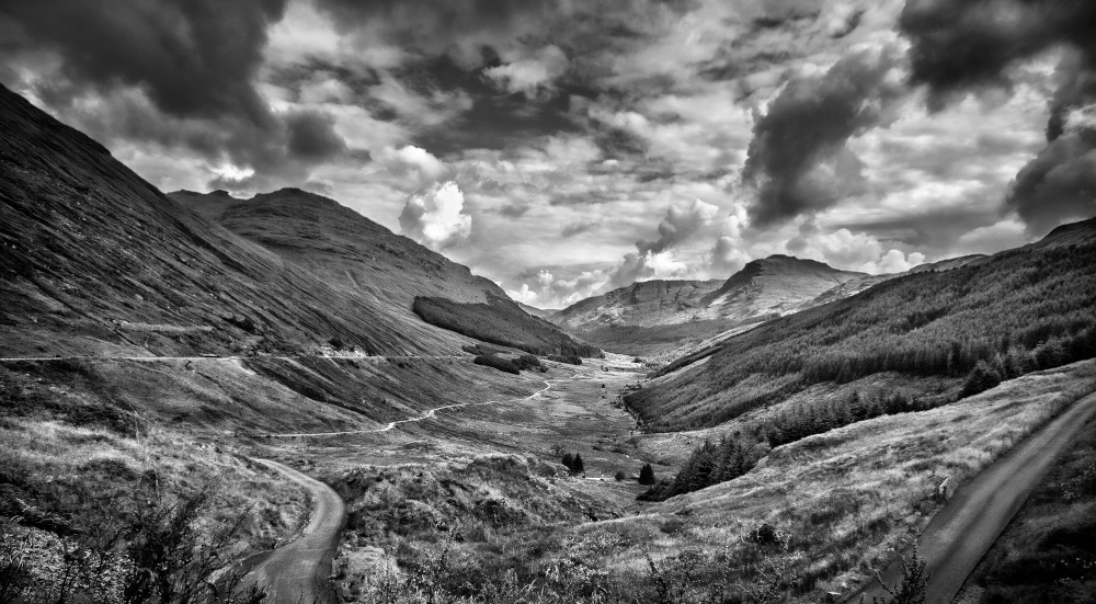 Argyll Forest Park, Scotland