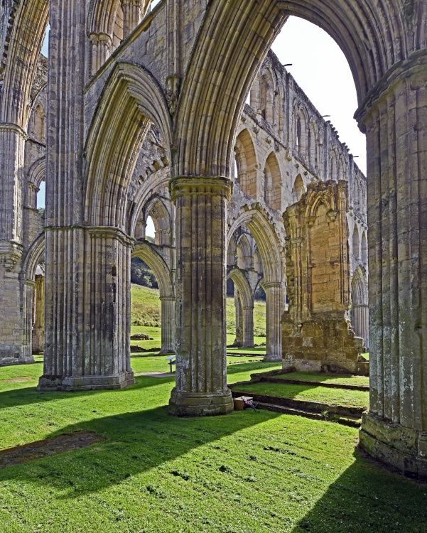 Rievaulx Abbey
