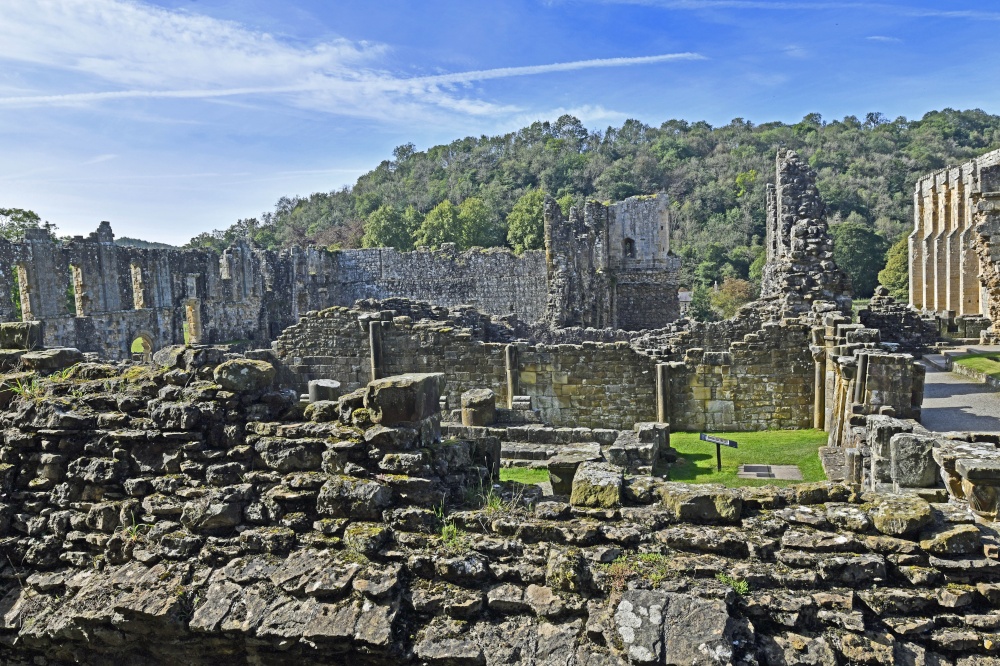 Rievaulx Abbey