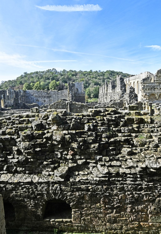 Rievaulx Abbey