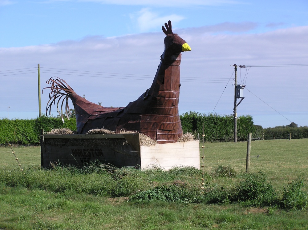 Harleston Hen