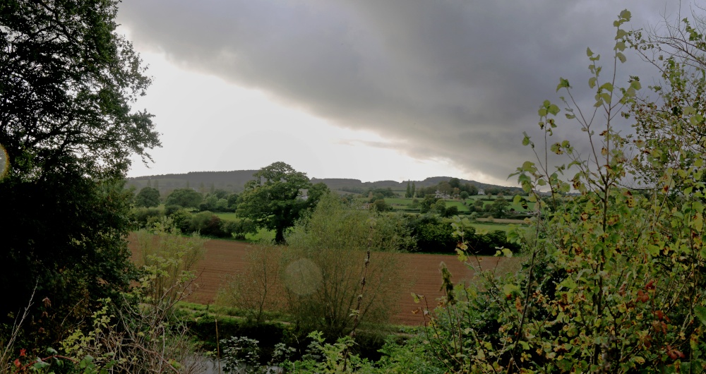 On the way to Otterton