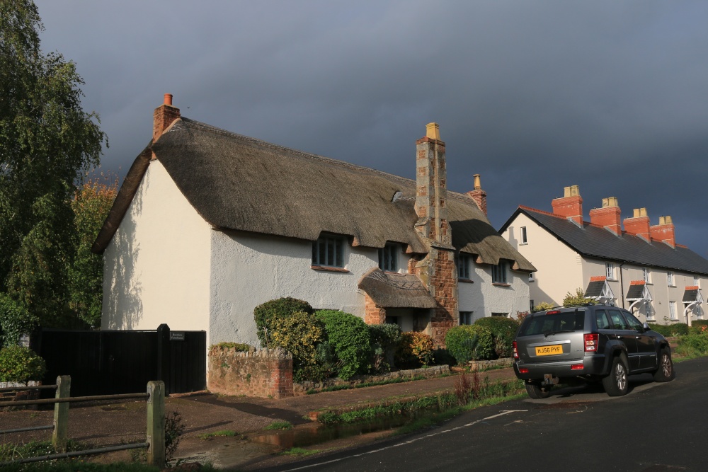Otterton thatch
