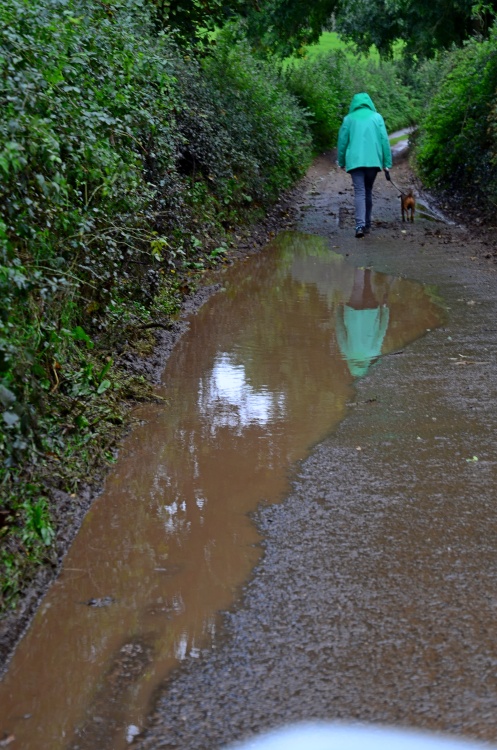 East Budleigh puddles