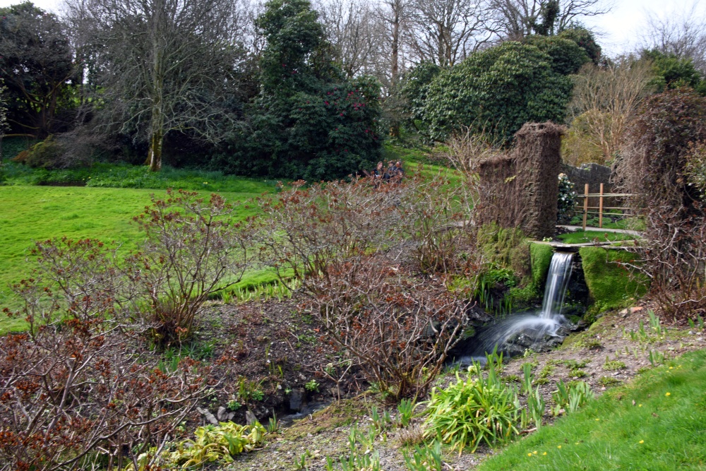Coleton Fishacre Garden