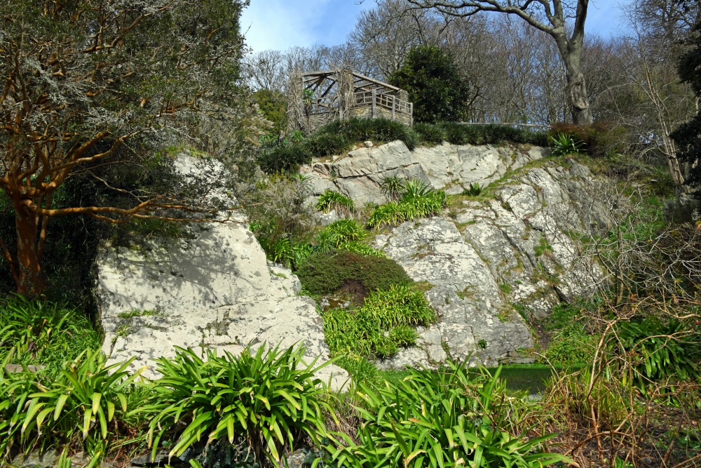 Coleton Fishacre Garden