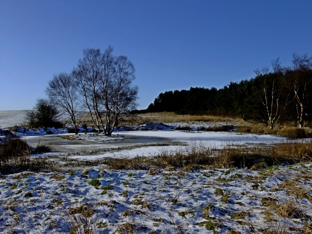 Tanfield in January 2010
