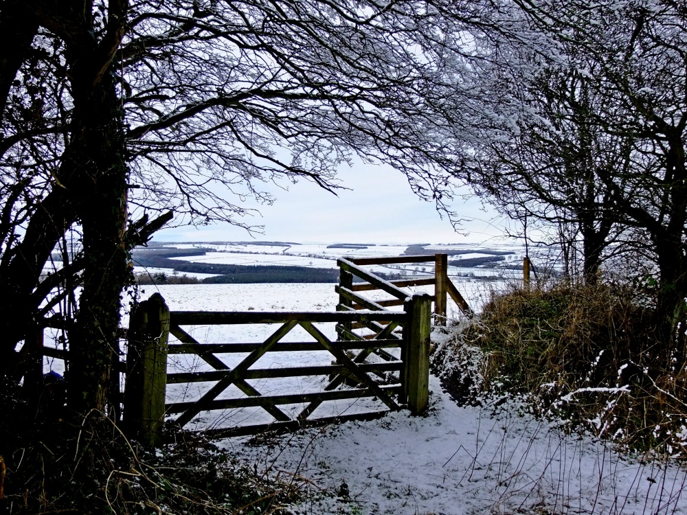 Photograph of A cold Leadgate