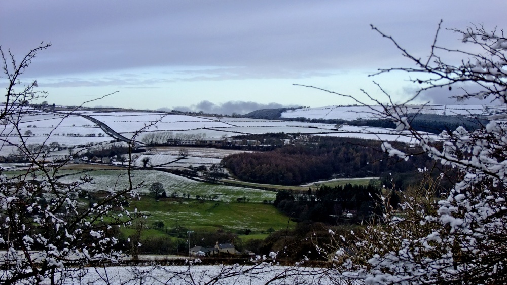 View north from Leadgate