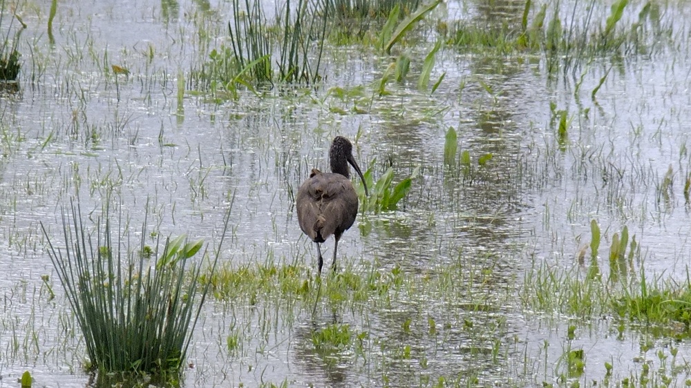 Budleigh Salterton nature reserve