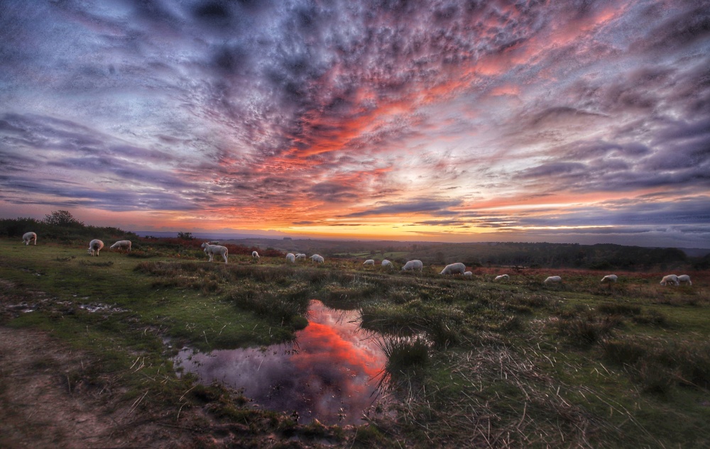SUNSET FROM ASHDOWN FOREST photo by David Brooker