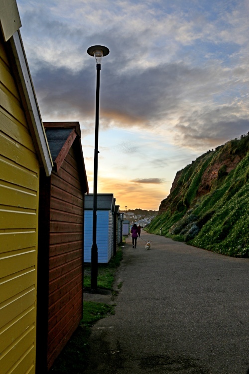 Budleigh evening