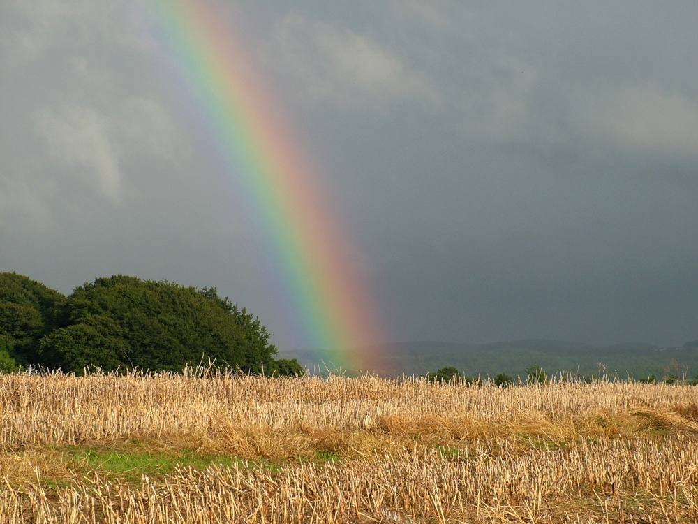Tanfield rainbow
