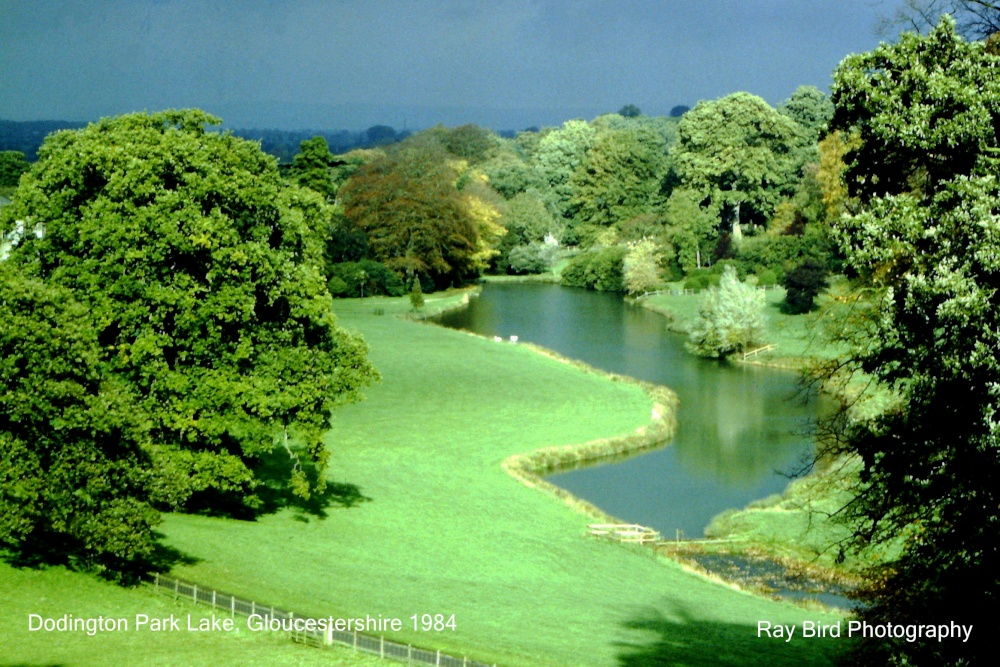 Lake in Dodington Park, Gloucestershire 1984