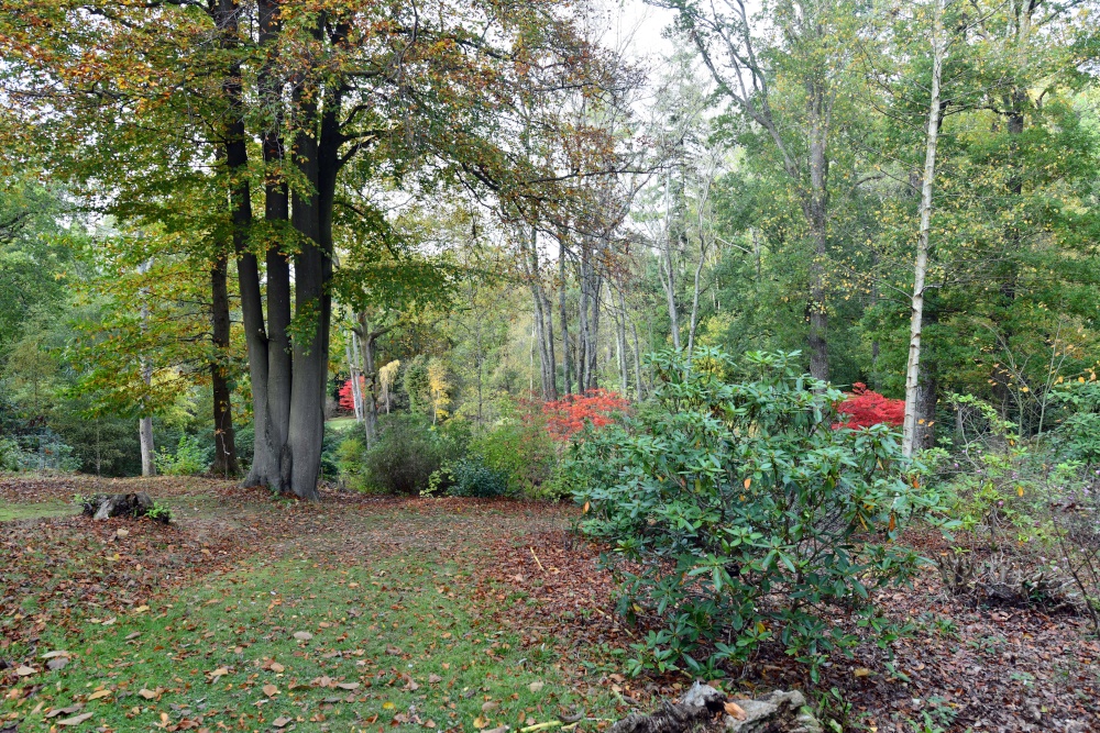 Ramster Gardens,  Chiddingfold