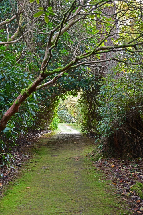 Ramster Gardens,  Chiddingfold