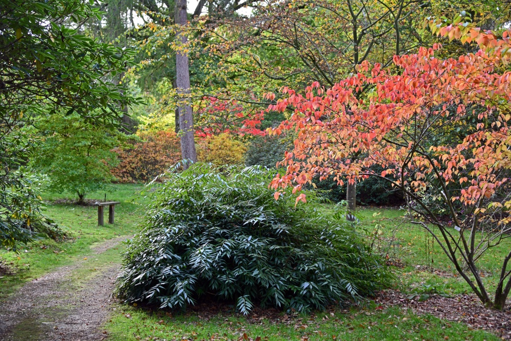 Ramster Gardens,  Chiddingfold