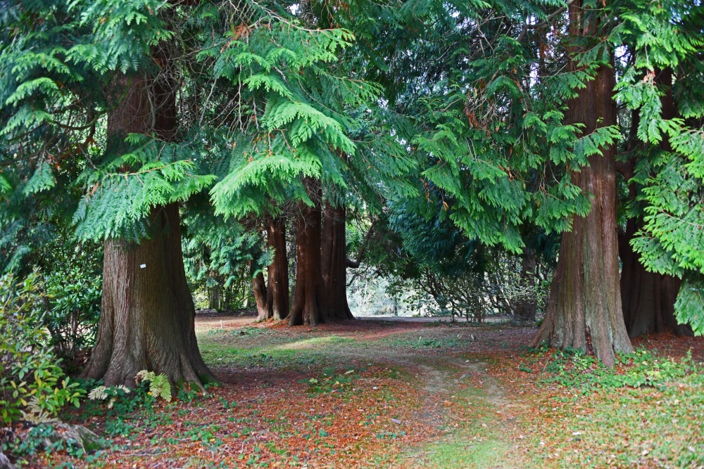Ramster Gardens,  Chiddingfold