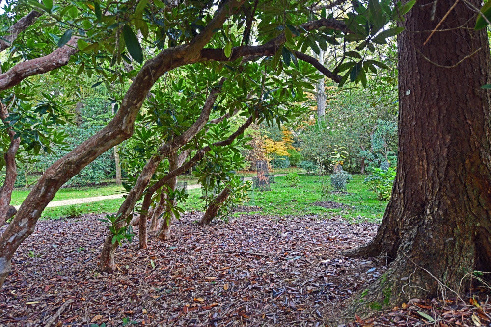 Ramster Gardens,  Chiddingfold