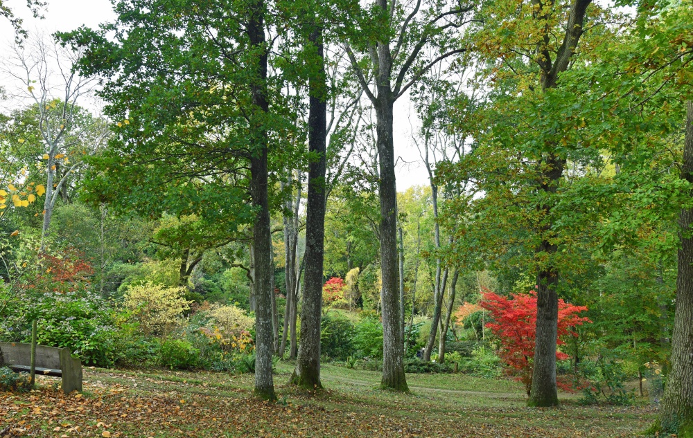 Ramster Gardens,  Chiddingfold