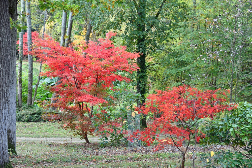 Ramster Gardens,  Chiddingfold