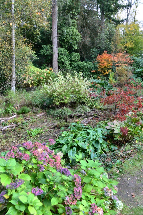 Ramster Gardens,  Chiddingfold