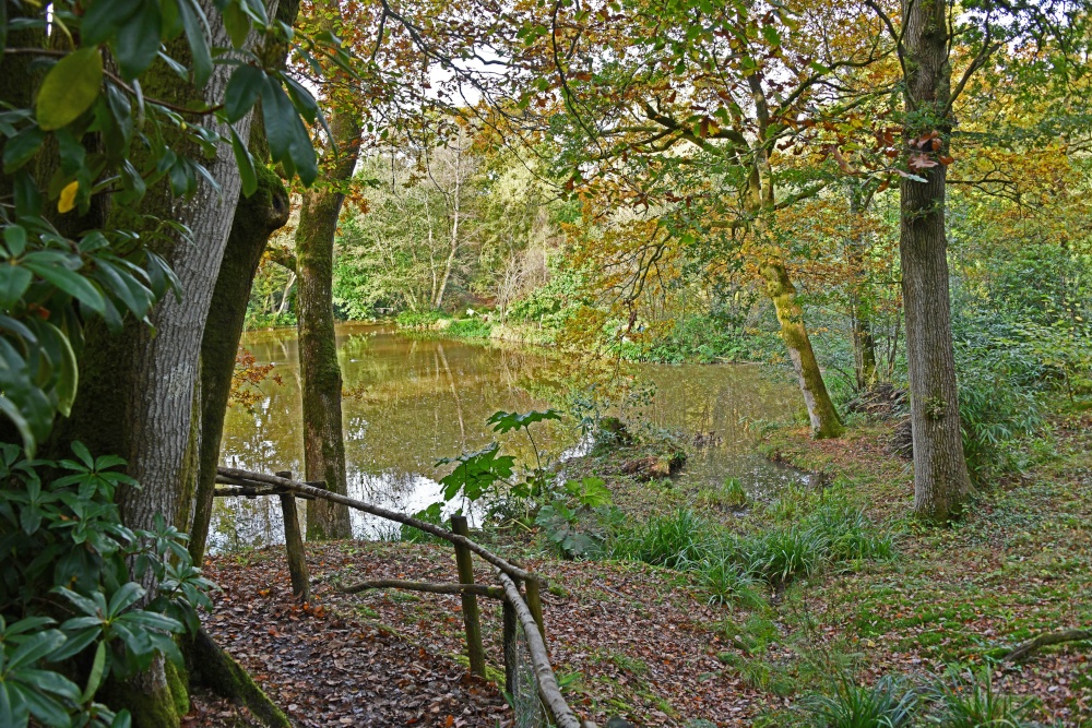 Ramster Gardens,  Chiddingfold