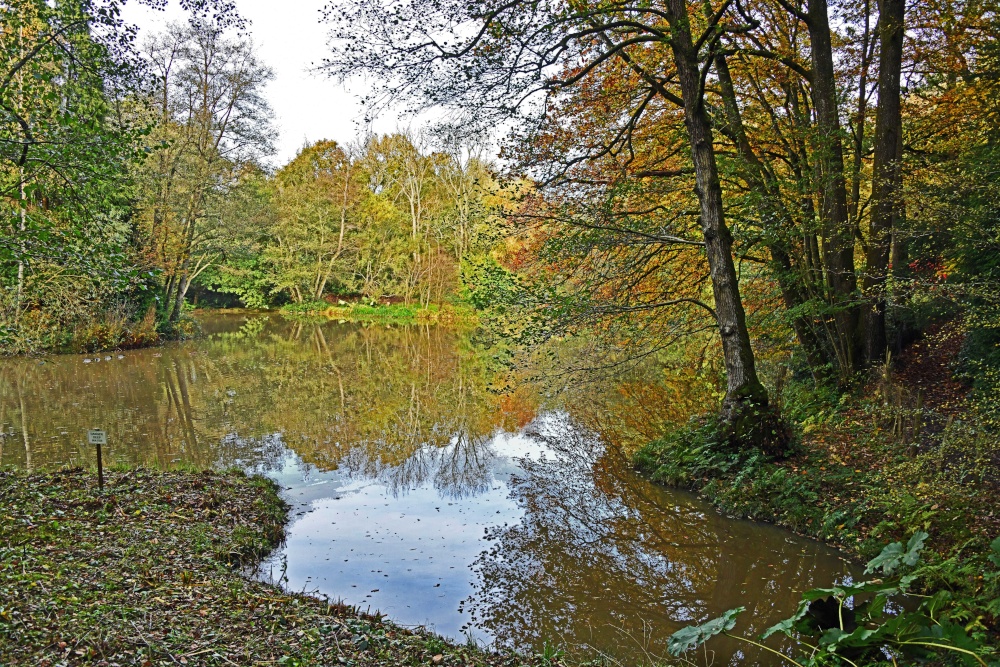 Ramster Gardens,  Chiddingfold