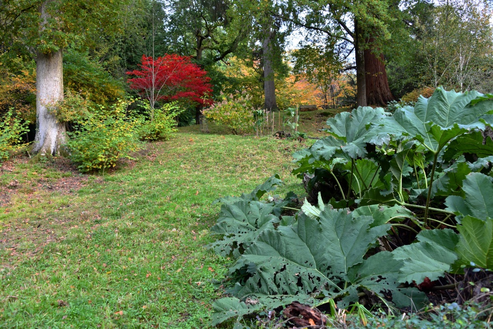 Ramster Gardens,  Chiddingfold
