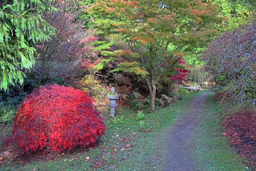 Ramster Gardens,  Chiddingfold
