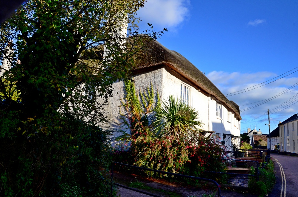 East Budleigh thatched cottages