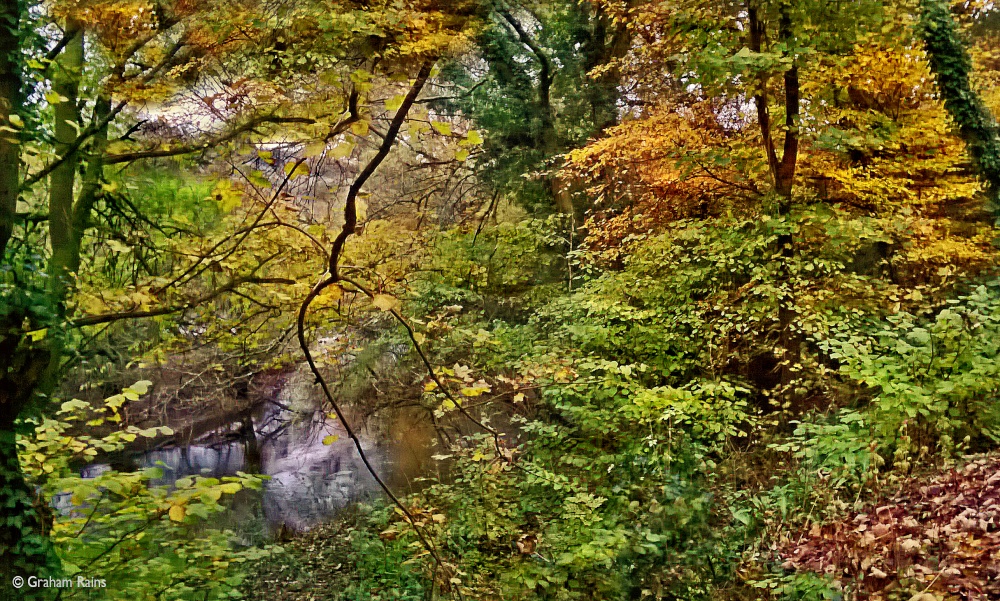 North Dorset Trailway